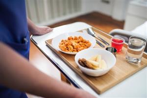 Lunch Tray with food 
